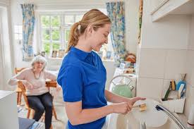 Kitchen cleaning help